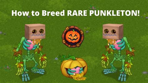 1See more. . How to breed rare punkleton